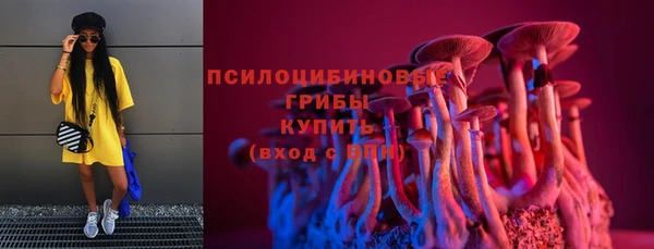 гашик Надым