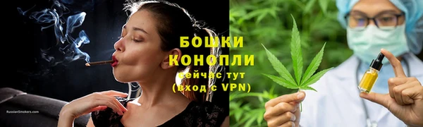 гашик Надым