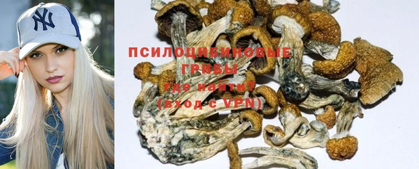 spice Михайлов