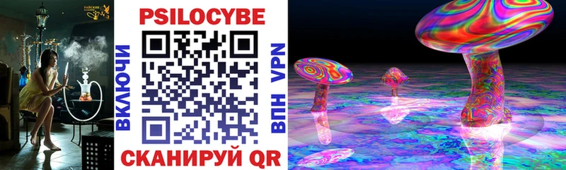 цена наркотик  Санкт-Петербург  Галлюциногенные грибы Magic Shrooms 