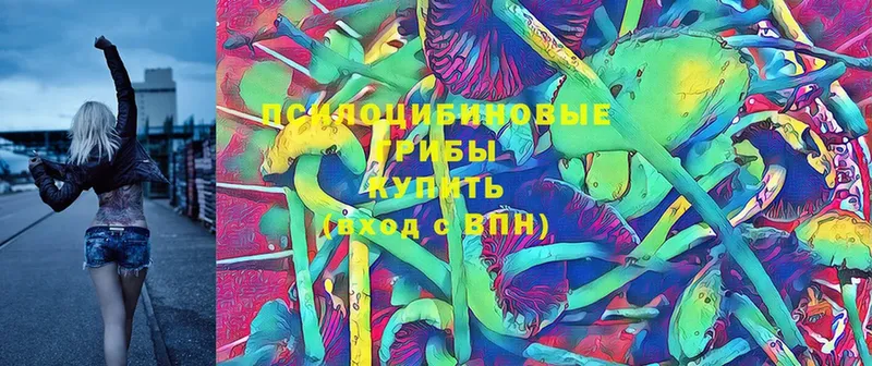 MEGA ССЫЛКА  Санкт-Петербург  Псилоцибиновые грибы Psilocybe 