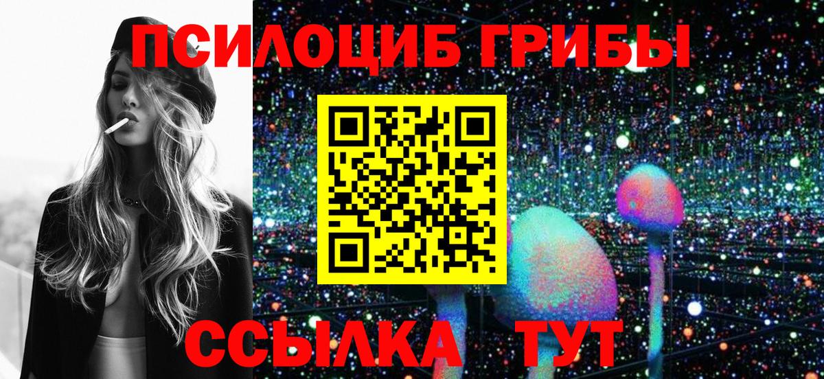 Псилоцибиновые грибы Cubensis  купить   Псилоцибиновые грибы GOLDEN TEACHER  Санкт-Петербург 