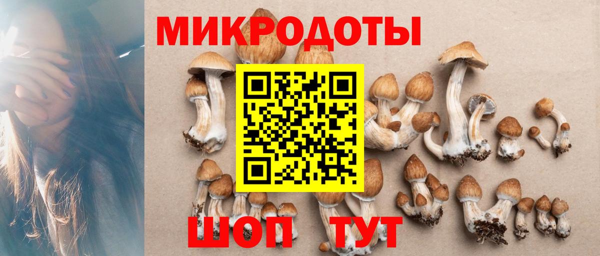 Санкт-Петербург  Галлюциногенные грибы MAGIC MUSHROOMS  Вход с VPN  Псилоцибиновые грибы Psilocybine cubensis 