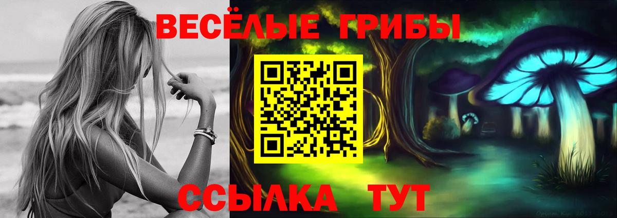 ЭКСТАЗИ  COCAIN  Меф   Меф МЯУ МЯУ кристаллы  Гашиш  Каннабис  Санкт-Петербург  Кокаин  ГАШ 