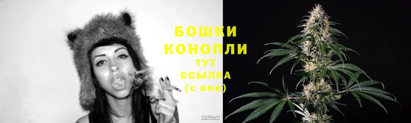 Шишки марихуана THC 21%  цена   Санкт-Петербург 